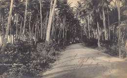Philippines - Cocoanut Palms - REAL PHOTO - Publ. Unknown 471 - Filipinas