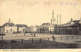 Latvia - JELGAVA Mitau - Market With Town-hall And Trinity Church - Publ. Fritz Würtz  - Letland