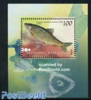 North Macedonia 2007 Fish S/s, Mint NH, Nature - Fish - Poissons