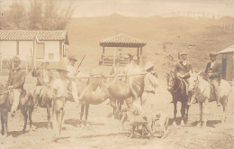 Argentina - SANTA MARIA - Cazadores De Pudu - REAL PHOTO - Año 1908 - Ed. Desconocido  - Argentinië