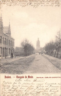 ROESELARE (W. Vl.) Chaussée De Menin - Uitg. Carlier-Dyspertin  - Röselare