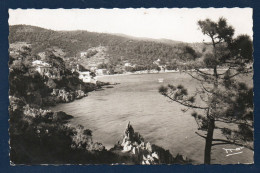 83. Environs Du Lavandou. Aiguebelle. Vue D'ensemble. 1949 - Le Lavandou