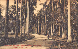 Sri Lanka - KANDY - Cabbage Palms, Peredeniya Gardens - Publ. Plâté & Co.  - Sri Lanka (Ceilán)