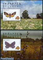 Belarus 1996 Butterflies 2 S/s, Mint NH, Nature - Various - Butterflies - Maps - Geografía