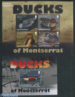 Montserrat 2012 Ducks 2 S/s, Mint NH, Nature - Birds - Ducks - Andere & Zonder Classificatie