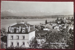 Versoix (GE) - Vue Generale Et Mont-Blanc - Versoix