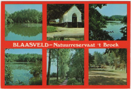 Blaasveld Natuurreservaart 't Broek - Andere & Zonder Classificatie