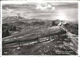 11970579 Saentis AR Gasthaus Zur Hoher Buche   Saentis AR - Sonstige & Ohne Zuordnung