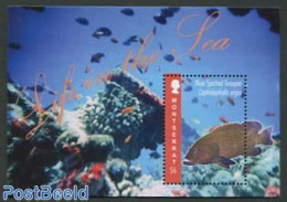 Montserrat 2012 Life In The Sea S/s, Mint NH, Nature - Fish - Fishes