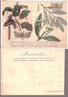 1937 CARTOLINA MONTECATINI UFFICIO AGRARIO - TIGNOLA DEL MELO V195 - Landwirtschaftl. Anbau