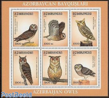Azerbaijan 2001 Owls 6v M/s, Mint NH, Nature - Birds - Birds Of Prey - Owls - Altri & Non Classificati