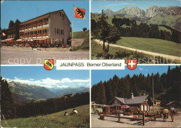 11964979 Jaunpass Berner Oberland, Hotel Des Alpes, Simmemtal Jaunpass - Autres & Non Classés