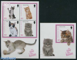 Montserrat 2013 Cats 2 S/s, Mint NH, Nature - Cats - Andere & Zonder Classificatie