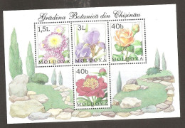 Moldova Flowers   MNH - Sonstige & Ohne Zuordnung
