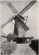 Berendrecht De Molen - & Windmill - Otros & Sin Clasificación