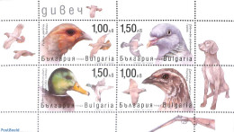 Bulgaria 2021 Birds S/s, Mint NH, Nature - Birds - Ducks - Pigeons - Nuovi