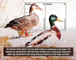 Tuvalu 2022 Mallard Duck S/s, Mint NH, Nature - Birds - Ducks - Sonstige & Ohne Zuordnung