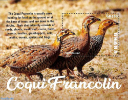 Ghana 2023 Coqui Francolin S/s, Mint NH, Nature - Birds - Poultry - Other & Unclassified