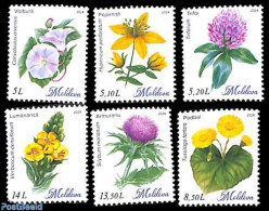 Moldova 2024 Wild Flowers 6v, Mint NH, Nature - Flowers & Plants - Sonstige & Ohne Zuordnung