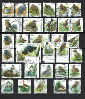 België - 11 - Buzin - Volgels, Oiseaux - Collections