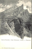 11902689 Gemmipass Wallis Hotel Wildstrubel Rinder Und Plattenhorn Gemmipass  Wa - Other & Unclassified