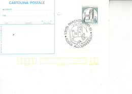 ITALIA  1981 - Annullo Speciale - Rocca Aldobrandesca - Châteaux