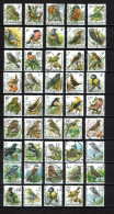 België - 08 - Buzin - Volgels, Oiseaux - Sammlungen