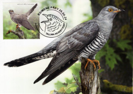 Estonia - 2024 - Bird Of The Year - Common Cuckoo - Maximum Card - Estonia