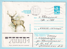 USSR 1983.0311. Bukhara Deer. Prestamped Cover, Used - 1980-91