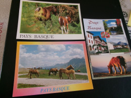 LOT DE 3 BELLES CARTES "PAYS BASQUE ...BEAUX CHEVAUX".. - Pferde