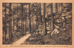 67-LE MONT SAINTE ODILE-N°T2252-B/0085 - Strasbourg