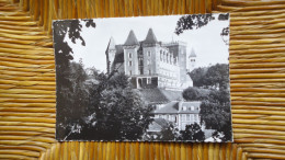 Pau , Le Château Henri IV Dans Le Parc National - Pau