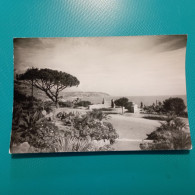 Foto San Remo - Giardini Di Capo Ampeglio. - Orte