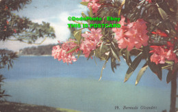 R423229 Bermuda. Oleanders. A. J. Gorham. Mardon. Son And Hall - Monde