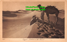 R423238 Egypt. Lookout In The Desert. Lehnert And Landrock - Monde