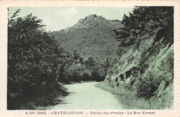 63-CHATELGUYON-N°T2253-H/0325 - Royat