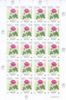 Argentina - 2021 - Flowers - 90 Years Of Diplomatic Relations - Joint Issue With Bulgarie - Sheets Set - MNH - - Neufs