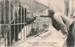 75 Paris Le Jardin Des Plantes Martin Reçoit Sa Récompense Ours CPA - Parks, Gärten