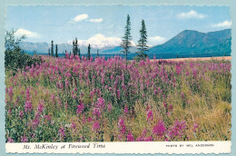 ALASKA - Mt. McKinley At Fireweed Time - Altri & Non Classificati