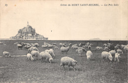 50-LE MONT  SAINT MICHEL-N°T2402-B/0103 - Le Mont Saint Michel
