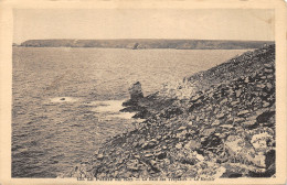 29-LA POINTE DU RAZ-N°T2402-H/0109 - La Pointe Du Raz