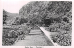 ILE MAURICE - Pailles River - Mauritius, Real Photo Postcard Old Original - Mauricio