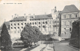 41-BLOIS-LE CHÂTEAU-N°T2403-F/0051 - Blois