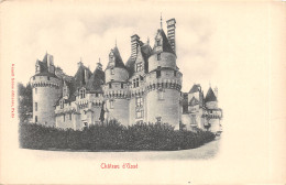 37-USSE-LE CHÂTEAU-N°T2403-G/0275 - Other & Unclassified