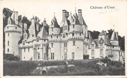 37-USSE-LE CHÂTEAU-N°T2403-G/0267 - Other & Unclassified