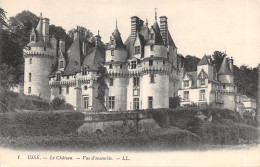 37-USSE-LE CHÂTEAU-N°T2403-G/0263 - Other & Unclassified