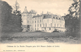 37-SAINTE MAURE-CHÂTEAU DE LA ROCHE PLOQUIN-N°T2403-G/0235 - Other & Unclassified