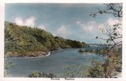 ILE MAURICE - Maconde - Mauritius, Real Photo Postcard Old Original - Mauricio