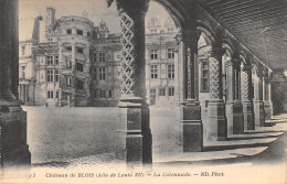 41-BLOIS-LE CHÂTEAU-N°T2404-A/0151 - Blois