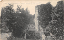 45-CHATILLON COLIGNY-N°T2404-D/0263 - Chatillon Coligny